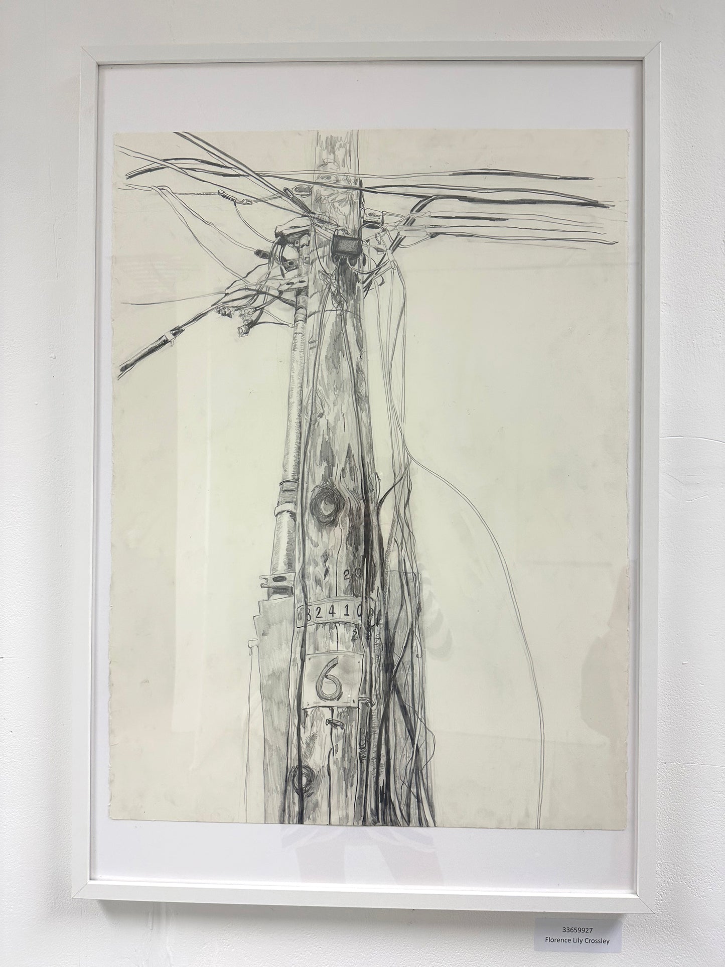 Evening Workshops: FLOSS CROSSLEY - 21 November 2023