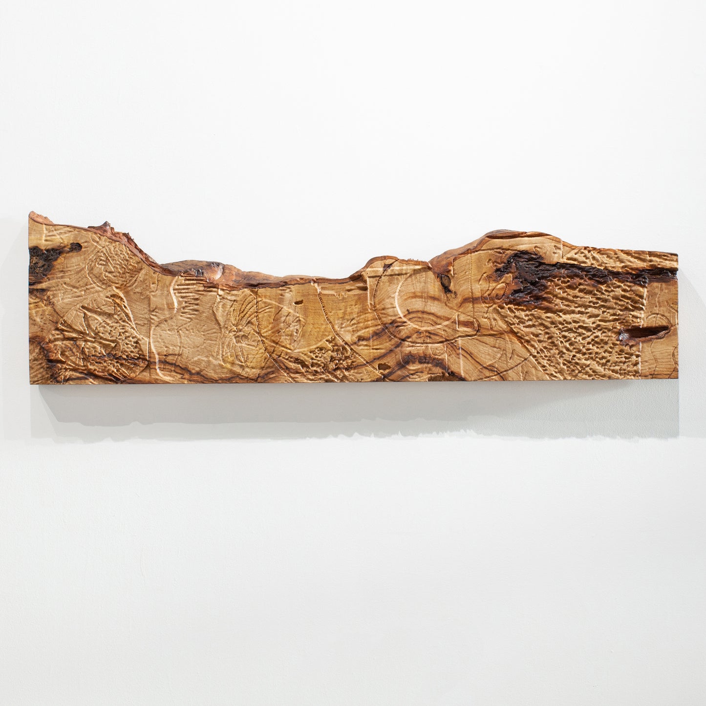 Talk: THE PHANTOM PENCIL: DRAWING UNDER THE SURFACE with Alexander Mourant - 1 November